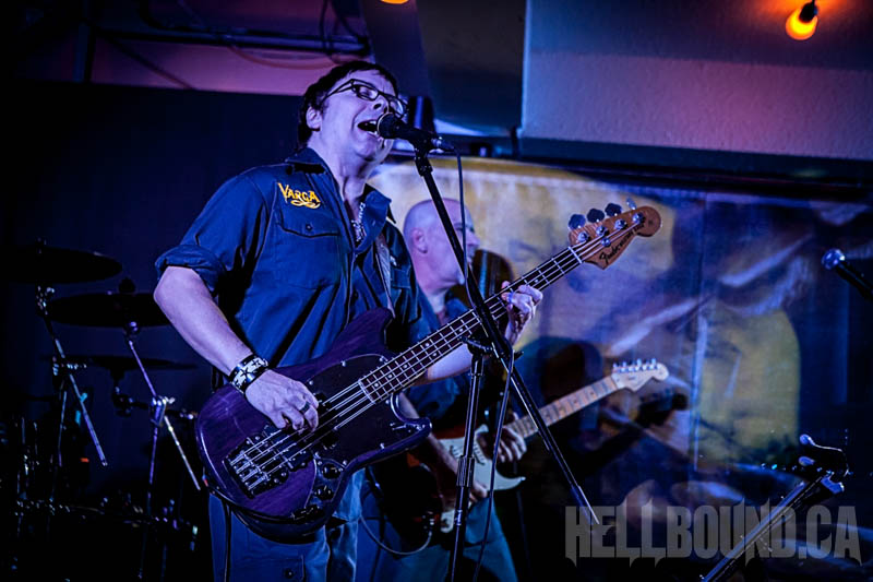 Varga in Kingston ON, Dec 5, 2014