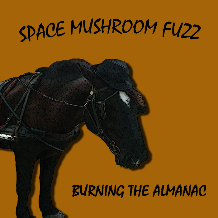 Space Mushroom Fuzz – Burning the Almanac