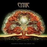 Cynic