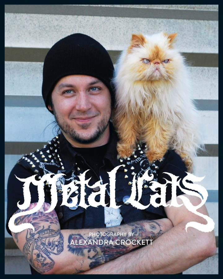 The scene’s softer side: Metal Cats by Alexandra Crockett