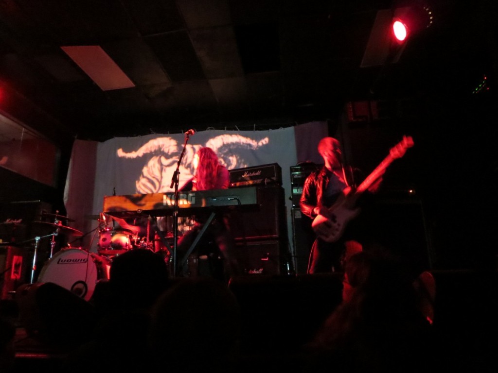 electric wizard 011