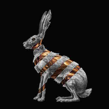San Fermin – Jackrabbit