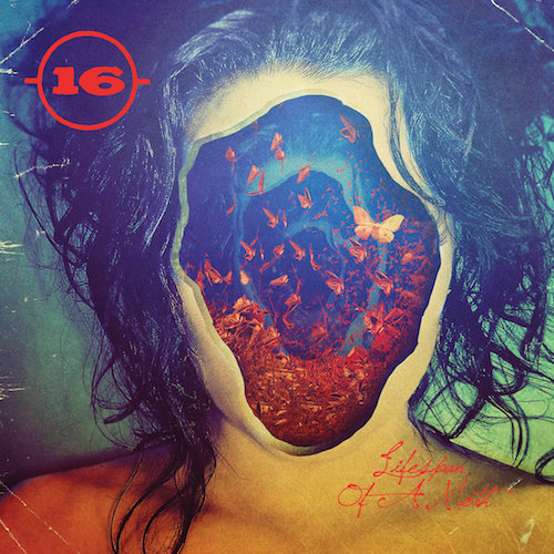 16 – The Lifespan of a Moth