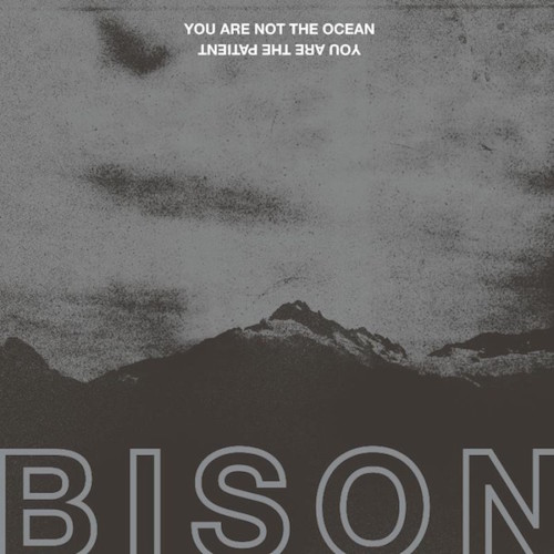 Bison – You Are Not the Ocean, You Are the Patient
