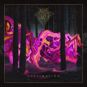 https://thisisthelasttime.bandcamp.com/album/acclimation